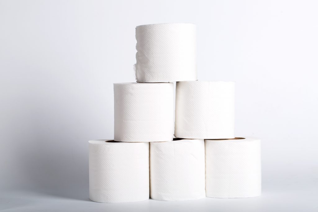 Canva toilet paper roll