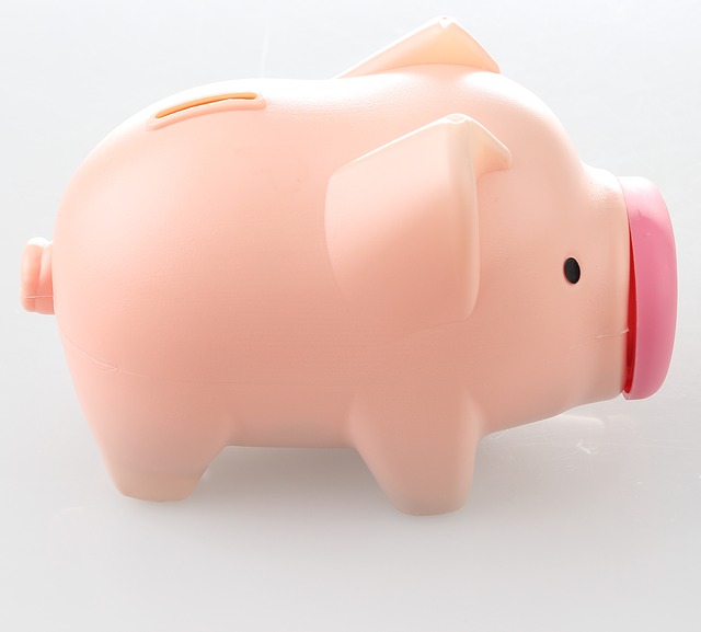 piggy bank 1470012483